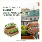 How to Build a Budget Vegetable Garden in Small Space