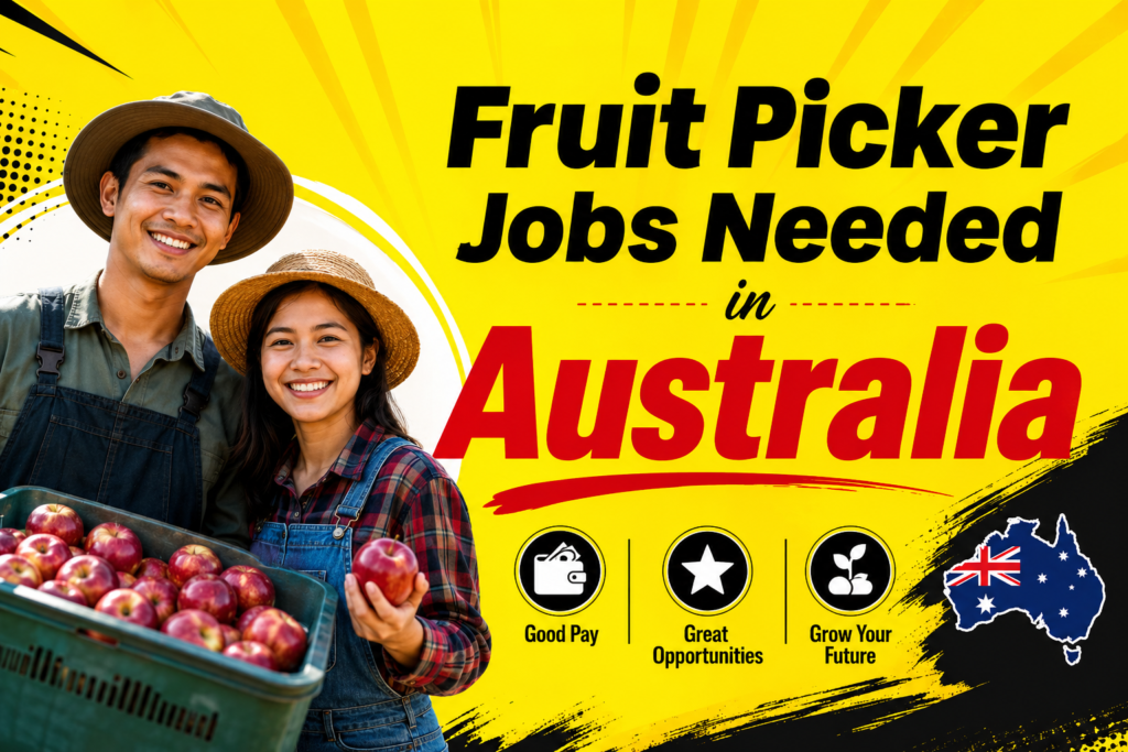 Fruit Picker Jobs Needed in Australia