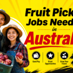 Fruit Picker Jobs Needed in Australia